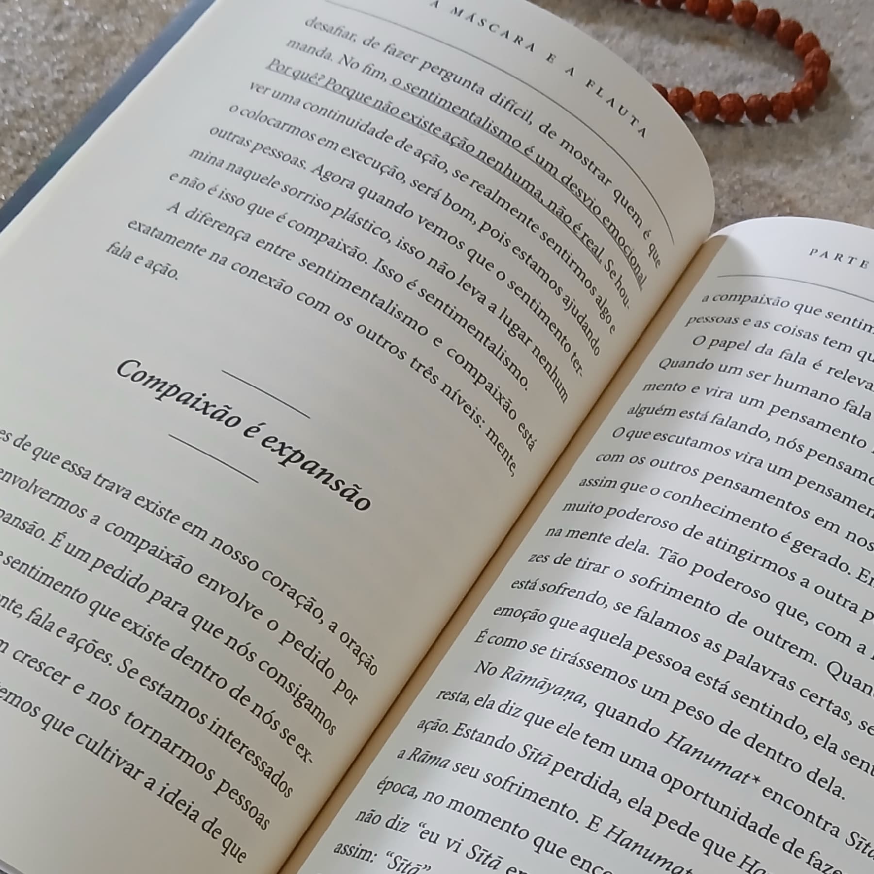 Sabedoria dos Mestres — Volume 2: A Máscara e a Flauta — 2