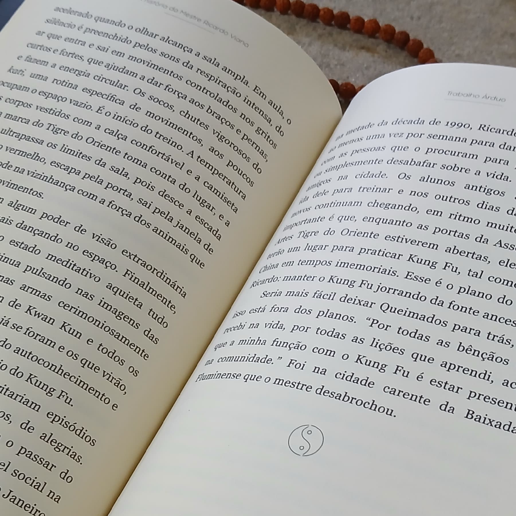 Trabalho Árduo — a história do mestre Ricardo Viana — 2